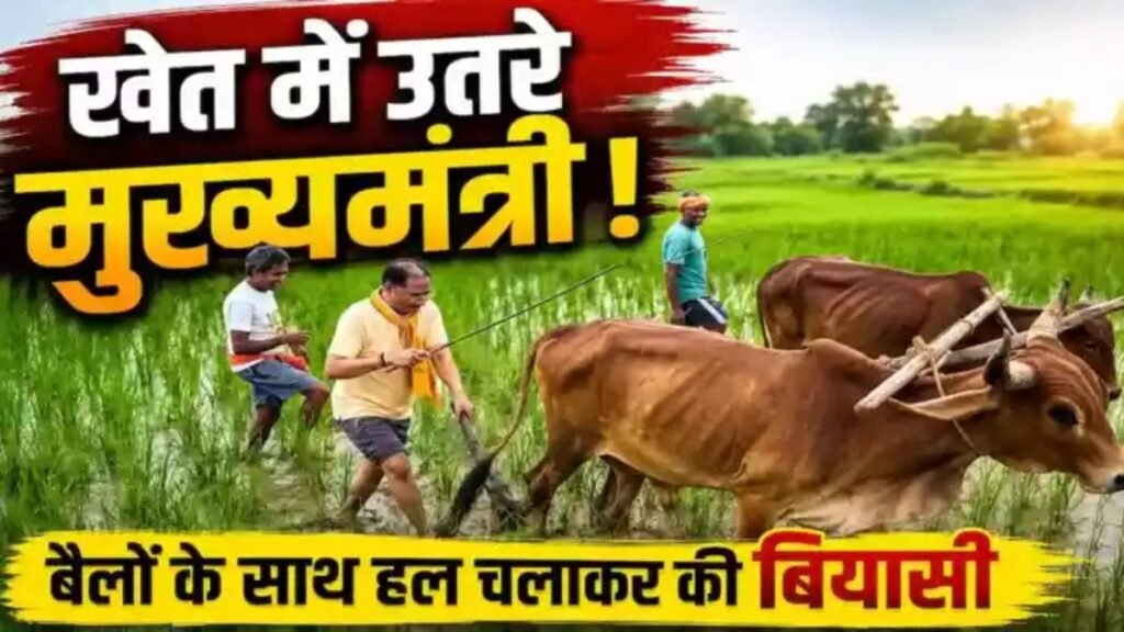 खेत में उतरे CM Vishnu Deo Sai’ बगिया में की बियासी’ कृषि और किसान को बताया संस्कृति की पहचान